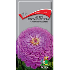 Цинния георгиноцветковая Фиолетовая королева