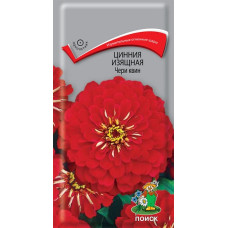 Цинния изящная Чери квин