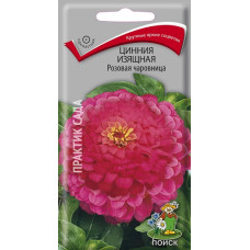 Цинния изящная Розовая чаровница