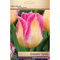 Іш киім суретке түсіп жатыр