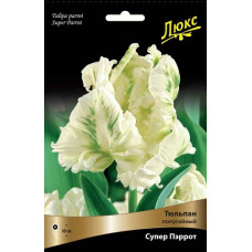 Тюльпан Супер Пэррот