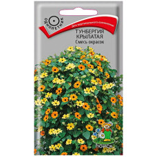 Тунбергия Крылатая смесь окрасок