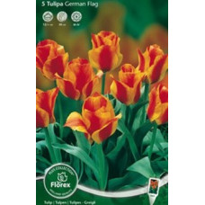 Тюльпан Джерман Флэг