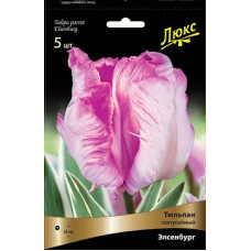 Тюльпан Элсенбург (Серия Люкс)