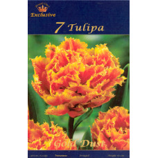 Тюльпан Голд Даст