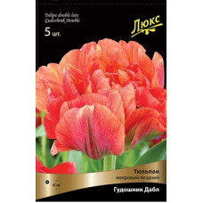 Тюльпан Гудошник Дабл