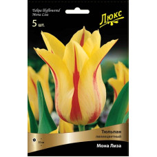 Тюльпан Мона Лиза (Серия Люкс)