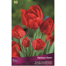 Тюльпан Ориндж Букет 
