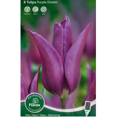 Тюльпан Пёпл Дрим 
