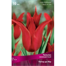 Тюльпан Питер де Лёр