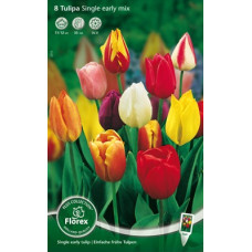 Тюльпан Простой ранний Смесь окрасок
