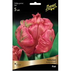 Тюльпан Рэй (Серия Люкс)