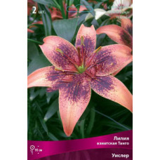 Лилия Уислер (азиасткая Танго)