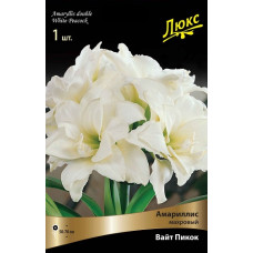 Амариллис Вайт Пикок