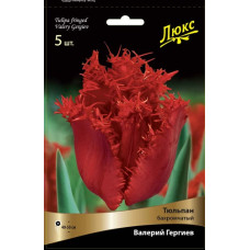 Тюльпан Валерий Гергиев (Серия Люкс)