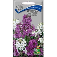Вечерница Матроны Смесь окрасок