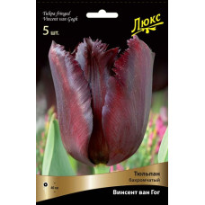 Тюльпан Винсент ван Гог (Серия Люкс)