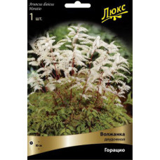 Волжанка Горацио (двудомная)