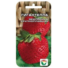 Земляника крупноплодная (клубника) Гигантелла