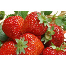 Клубника Белорусочка