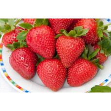 Земляника (клубника) садовая Эвис Делайт