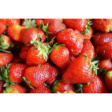 Земляника (клубника) садовая Ламбада