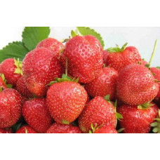 Клубника Настена Сластена