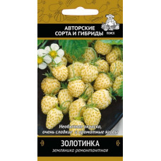 Земляника ремонтантная Золотинка